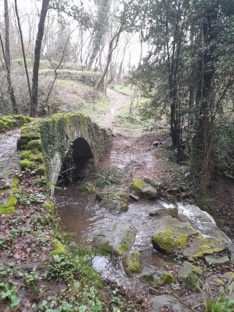 The old bridge at San Giovenale