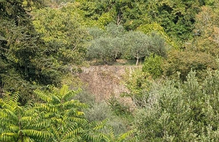 Il muretto di Ponte a Mandri, visto dal ponte nuovo